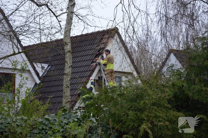 Brandweer ingezet voor brand in nok van dak