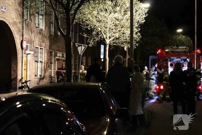 Katten gered bij brand in benedenwoning