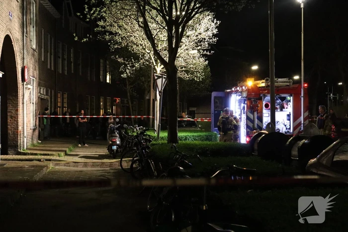 Katten gered bij brand in benedenwoning