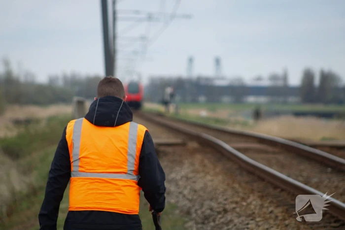Dode zwaan zorgt voor hinder van treinverkeer