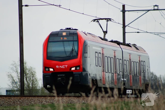 Dode zwaan zorgt voor hinder van treinverkeer