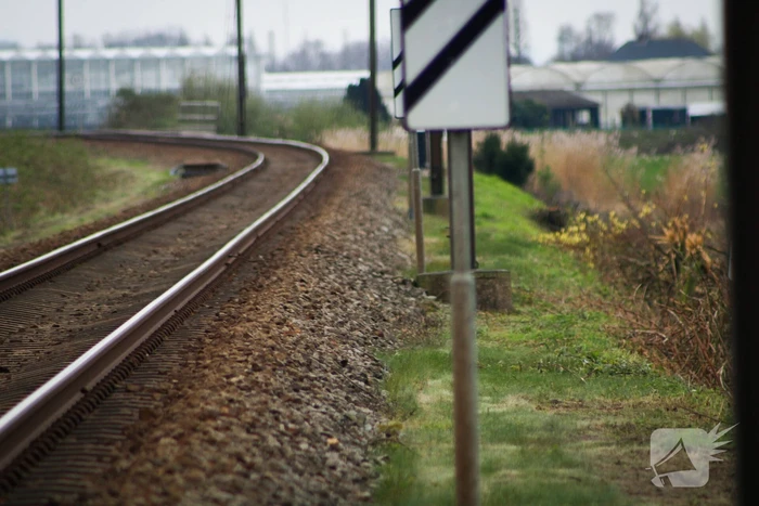 Dode zwaan zorgt voor hinder van treinverkeer
