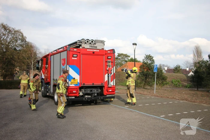 Brandweer bevrijdt vastzittend hert