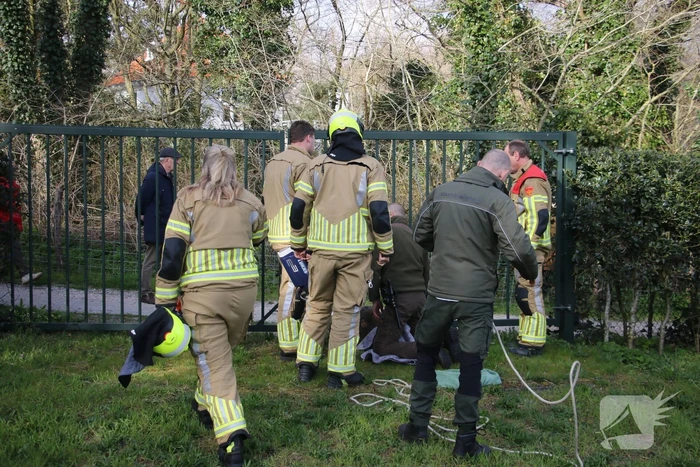 Brandweer bevrijdt vastzittend hert