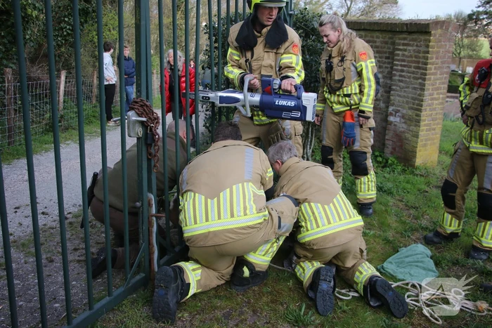 Brandweer bevrijdt vastzittend hert