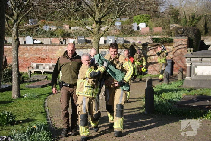 Brandweer bevrijdt vastzittend hert