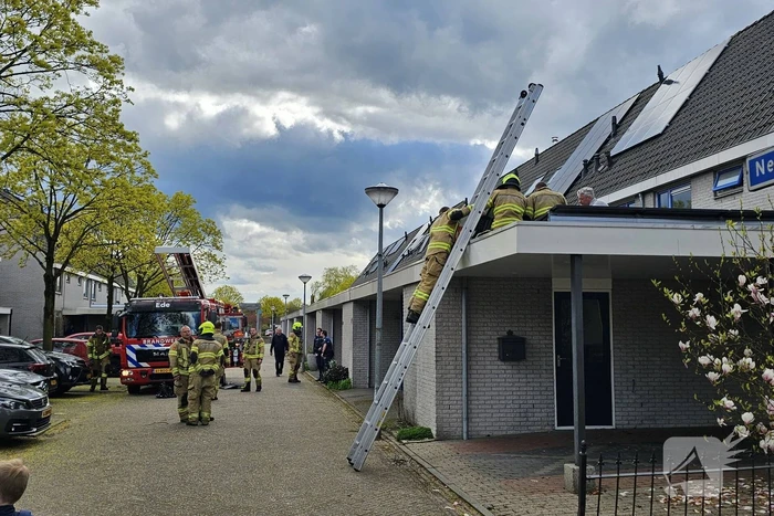 brand nehrusingel ede