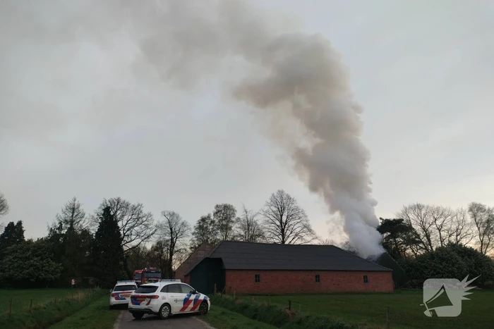 brand groeske castelre