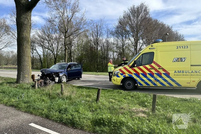 Automobilist botst frontaal op boom