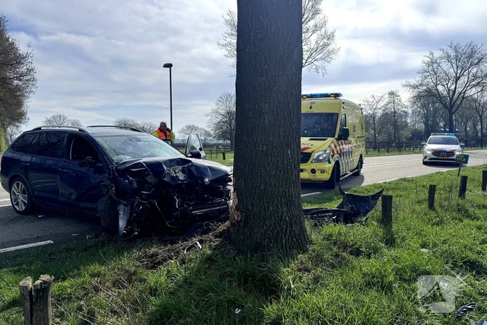 Automobilist botst frontaal op boom