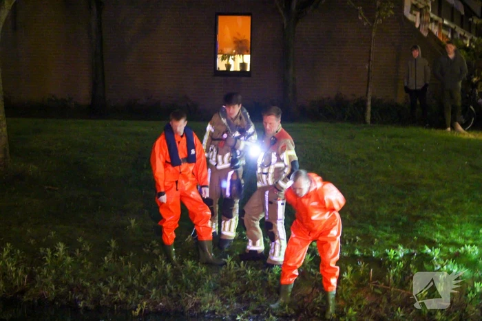 Brandweer zoekt in water naar mogelijk te water geraakt persoon