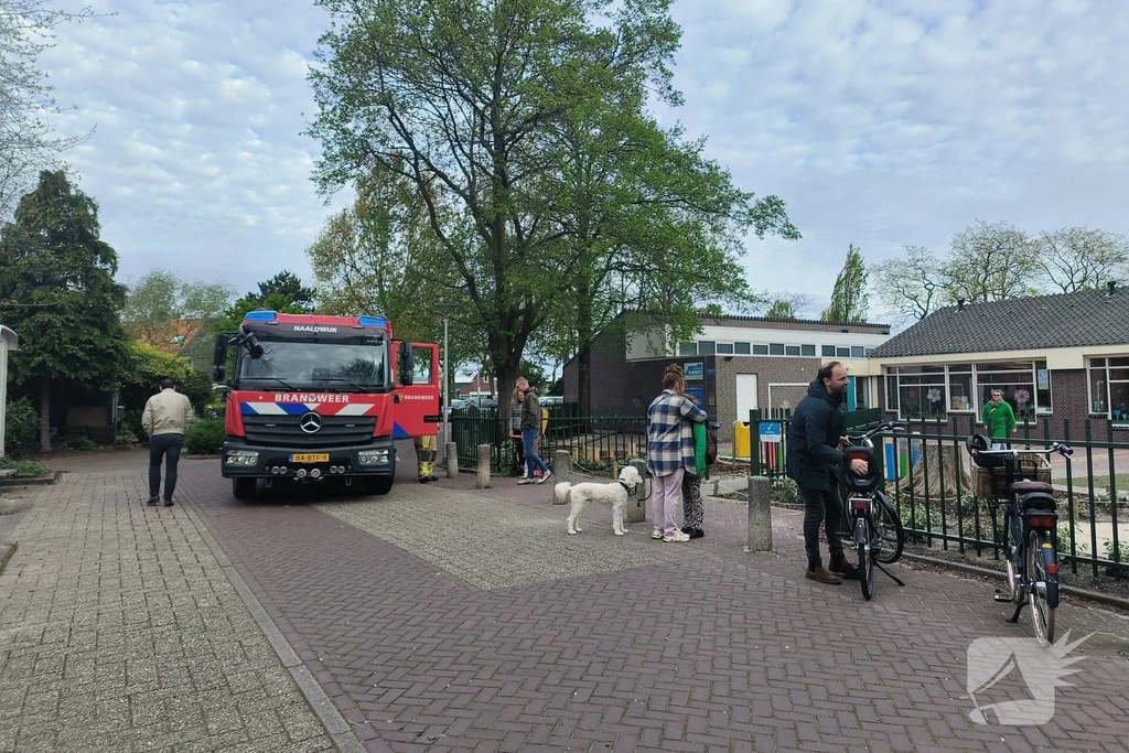 Wollegras Naaldwijk 112 