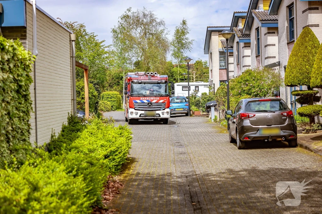 Segerserf Nieuws Hoogland 