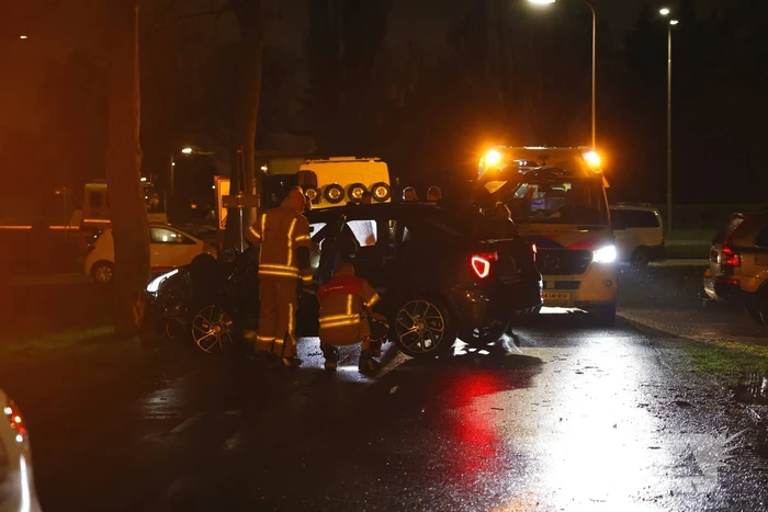 Bestuurster gewond bij botsing tegen boom