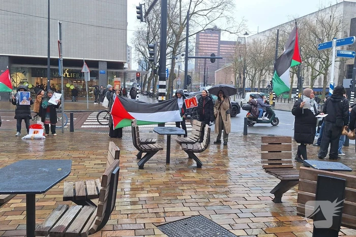 Pro-Palestina demonstratie voor drukke Mcdonalds