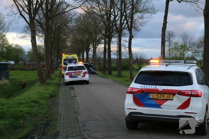 Automobilist botst frontaal op boom