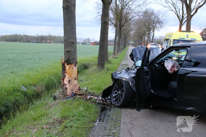 Automobilist botst frontaal op boom