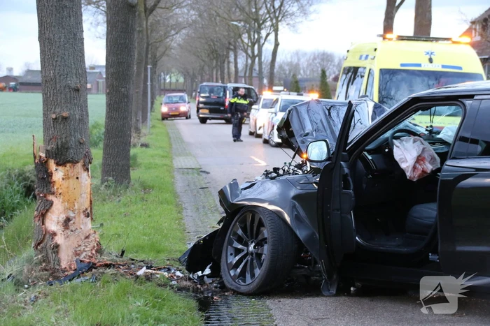Automobilist botst frontaal op boom