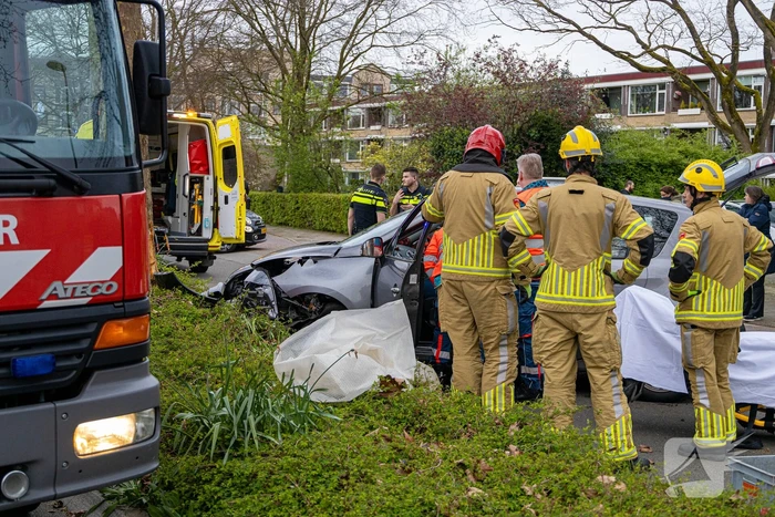 Automobilist botst tegen boom
