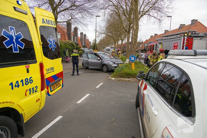 Automobilist botst tegen boom