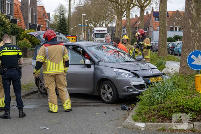Automobilist botst tegen boom