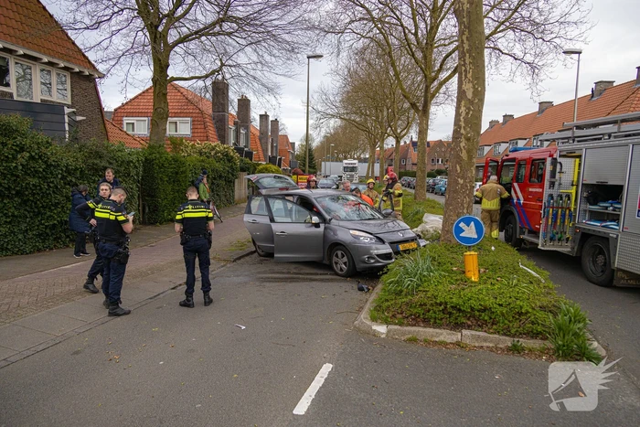 Automobilist botst tegen boom