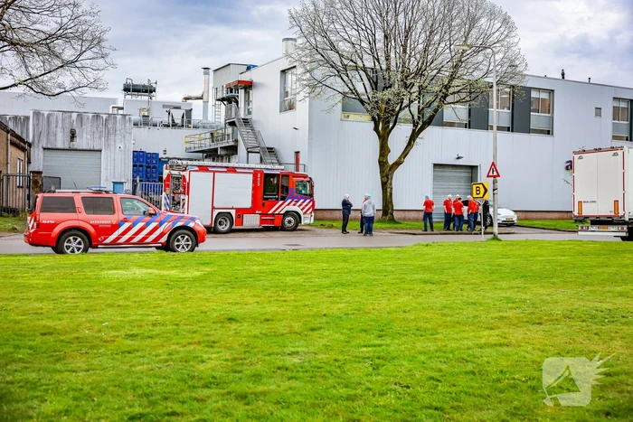 Drukkerij Adapa ontruimd na vreemde geur