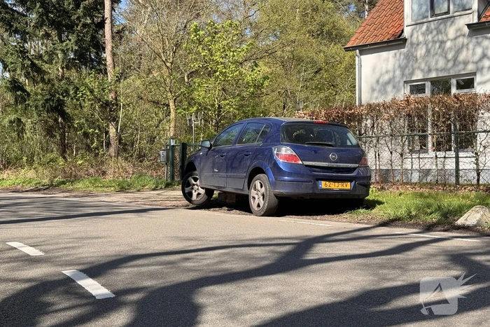 Auto loopt fikse schade op nadat deze op varkensrug rijdt