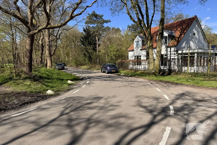 Auto loopt fikse schade op nadat deze op varkensrug rijdt