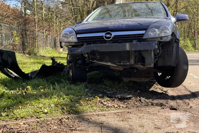 Auto loopt fikse schade op nadat deze op varkensrug rijdt