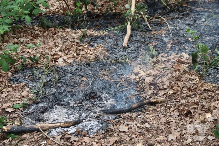 Bermbrand snel onder controle