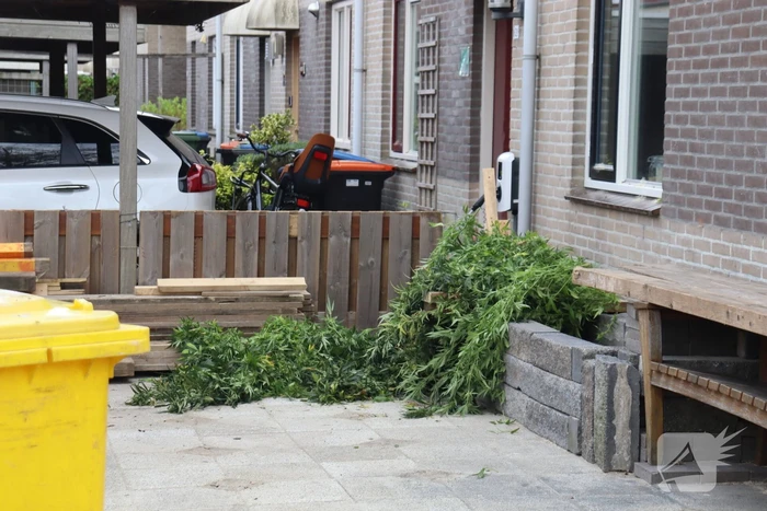 nieuws wolgastraat lelystad