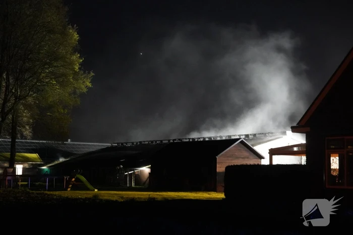 Kalveren omgekomen bij grote brand