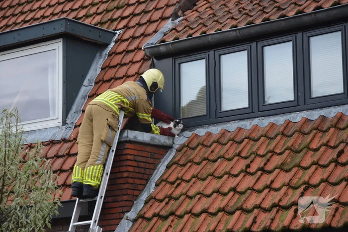 nieuws van der helststraat leeuwarden