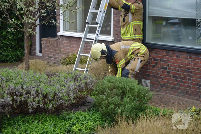 Brandweer redt kat Jessy van dak