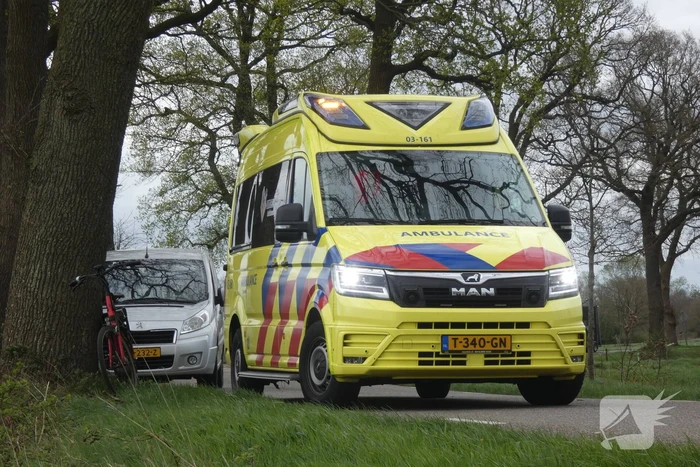 Inzittenden bestelbus gewond bij botsing tegen boom