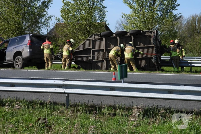 Koeien vast in gekantelde veewagen