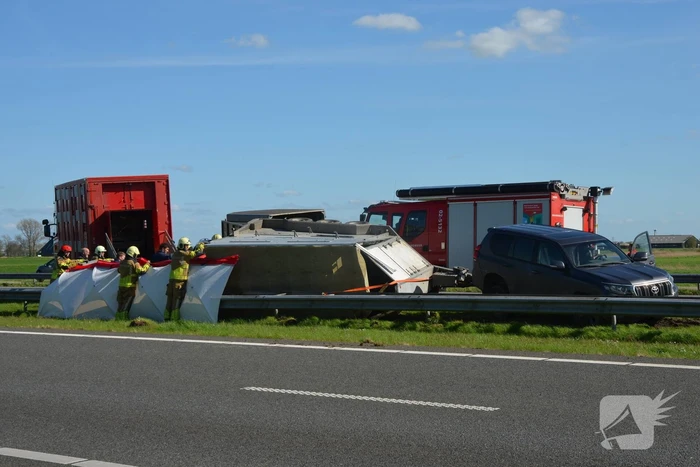 Koeien vast in gekantelde veewagen
