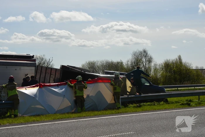 Koeien vast in gekantelde veewagen