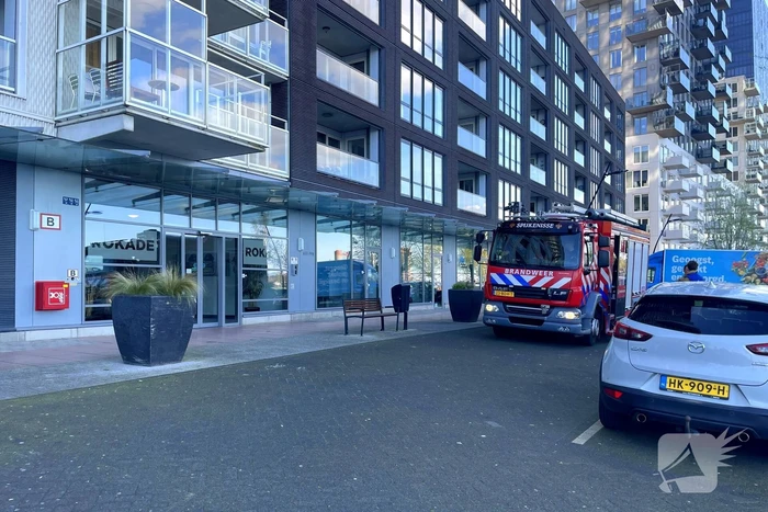 Brand in flatwoning