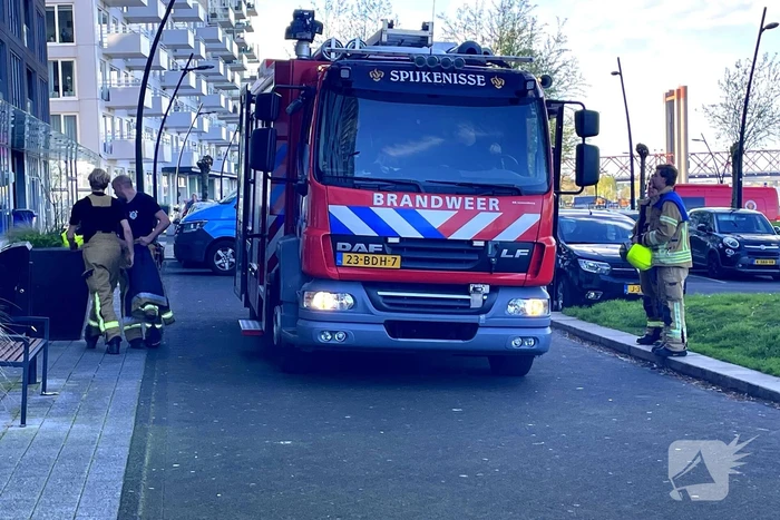 Brand in flatwoning