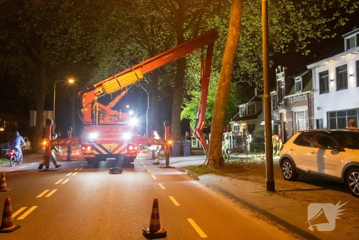 brand bredaseweg tilburg