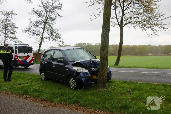 Auto klapt frontaal op boom