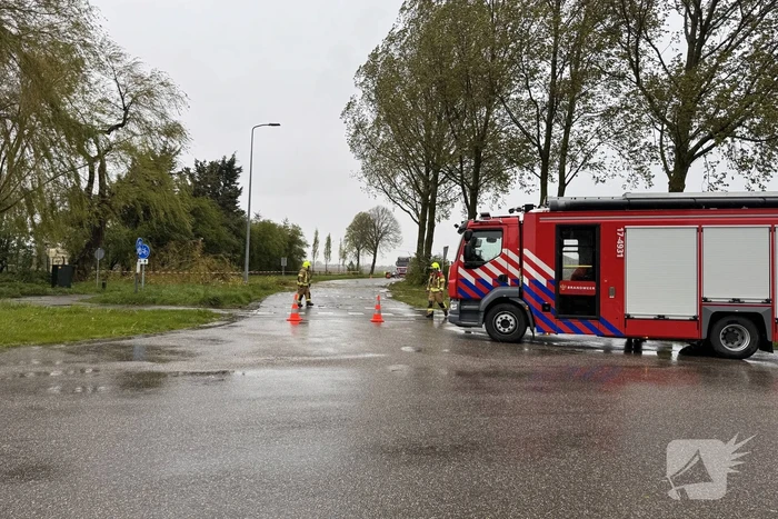 natuur schaapsweg den bommel