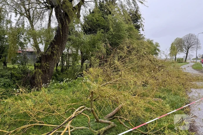 Brandweer assisteert bij stormschade aan boom