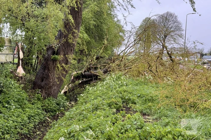 Brandweer assisteert bij stormschade aan boom