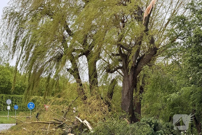 Brandweer assisteert bij stormschade aan boom