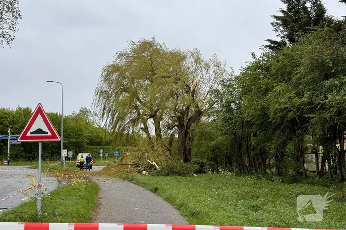 Brandweer assisteert bij stormschade aan boom