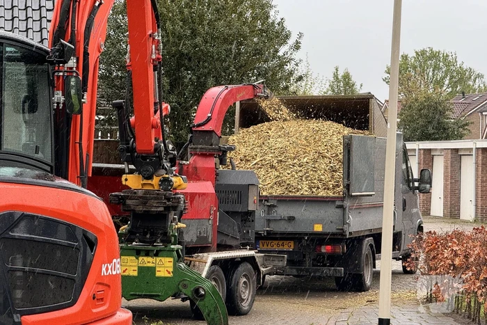 Boom breekt af na rukwinden