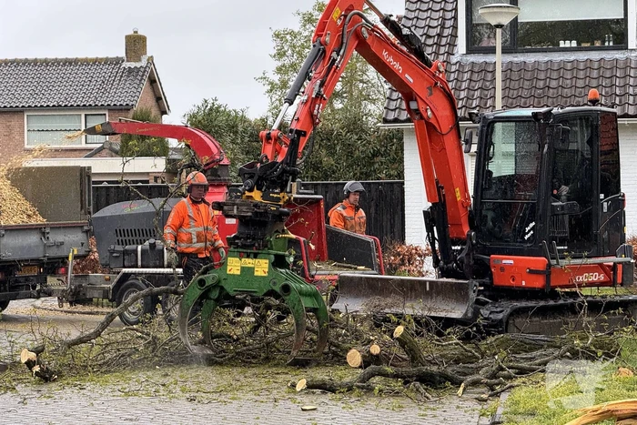 Boom breekt af na rukwinden
